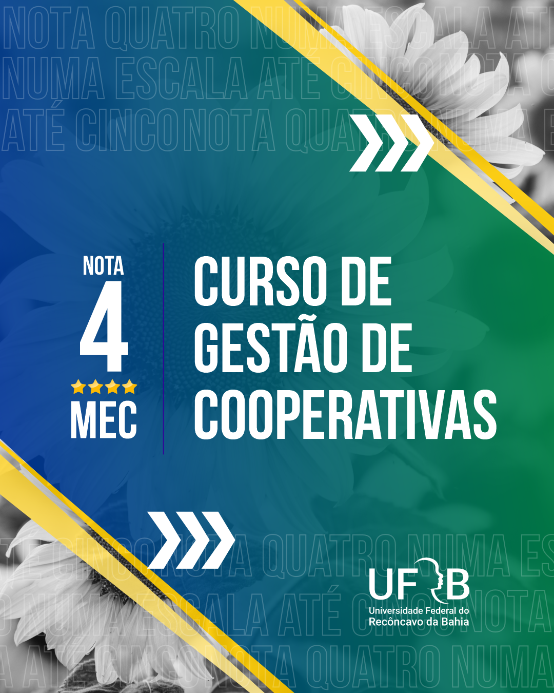 gestao coop feed