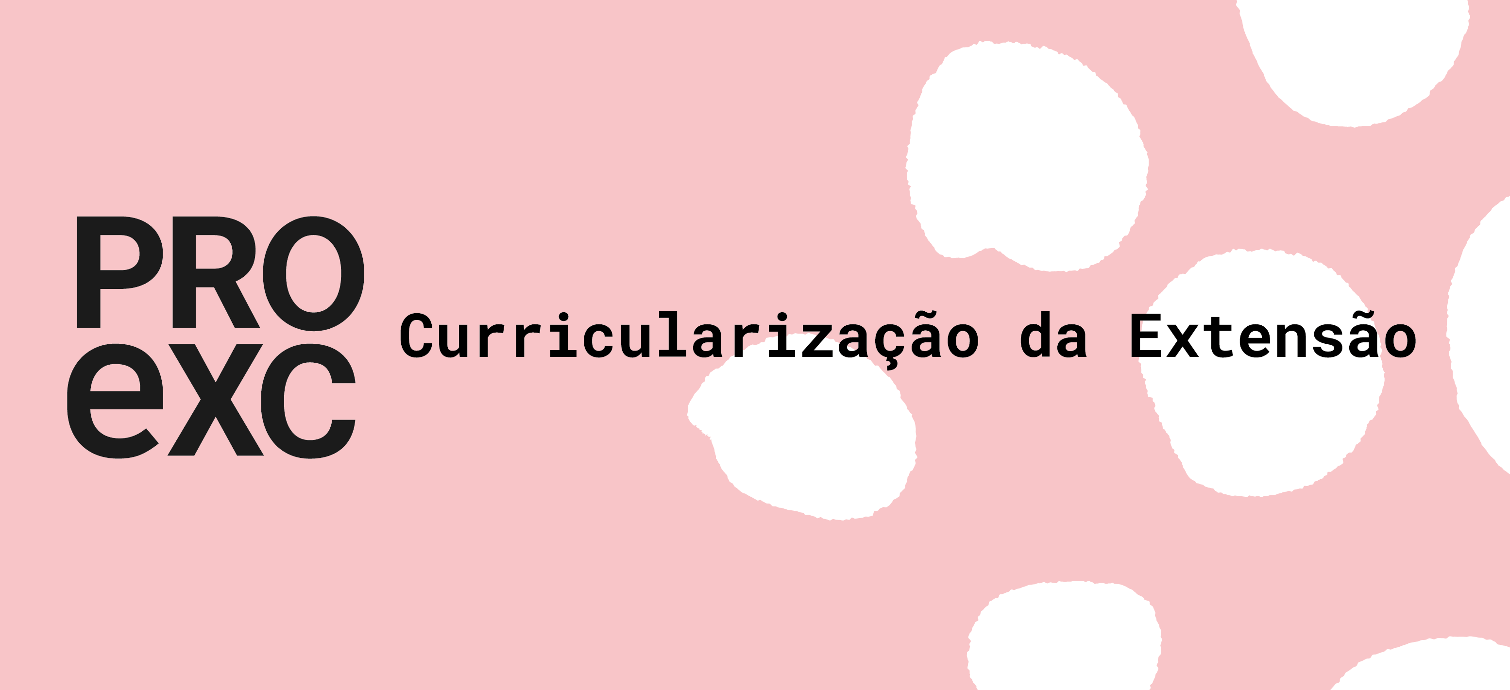 20200406162005 curricularizacao