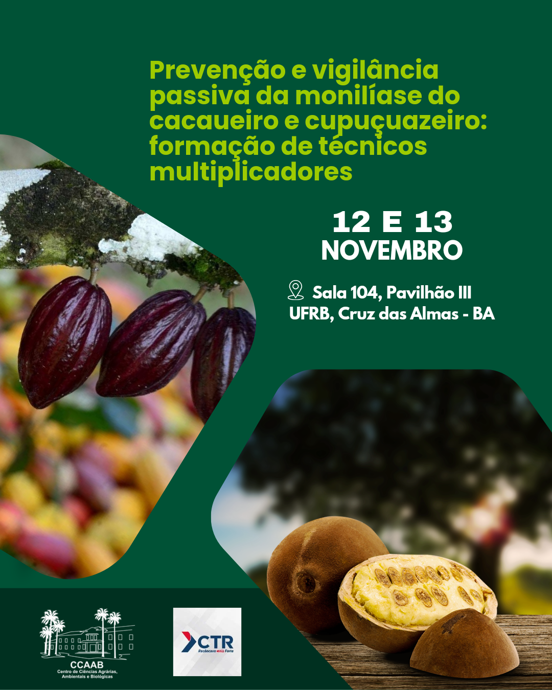 Post Para Instagram Inteligência no Agronegócio Moderno Verde E Branco 20241105 105318 0000