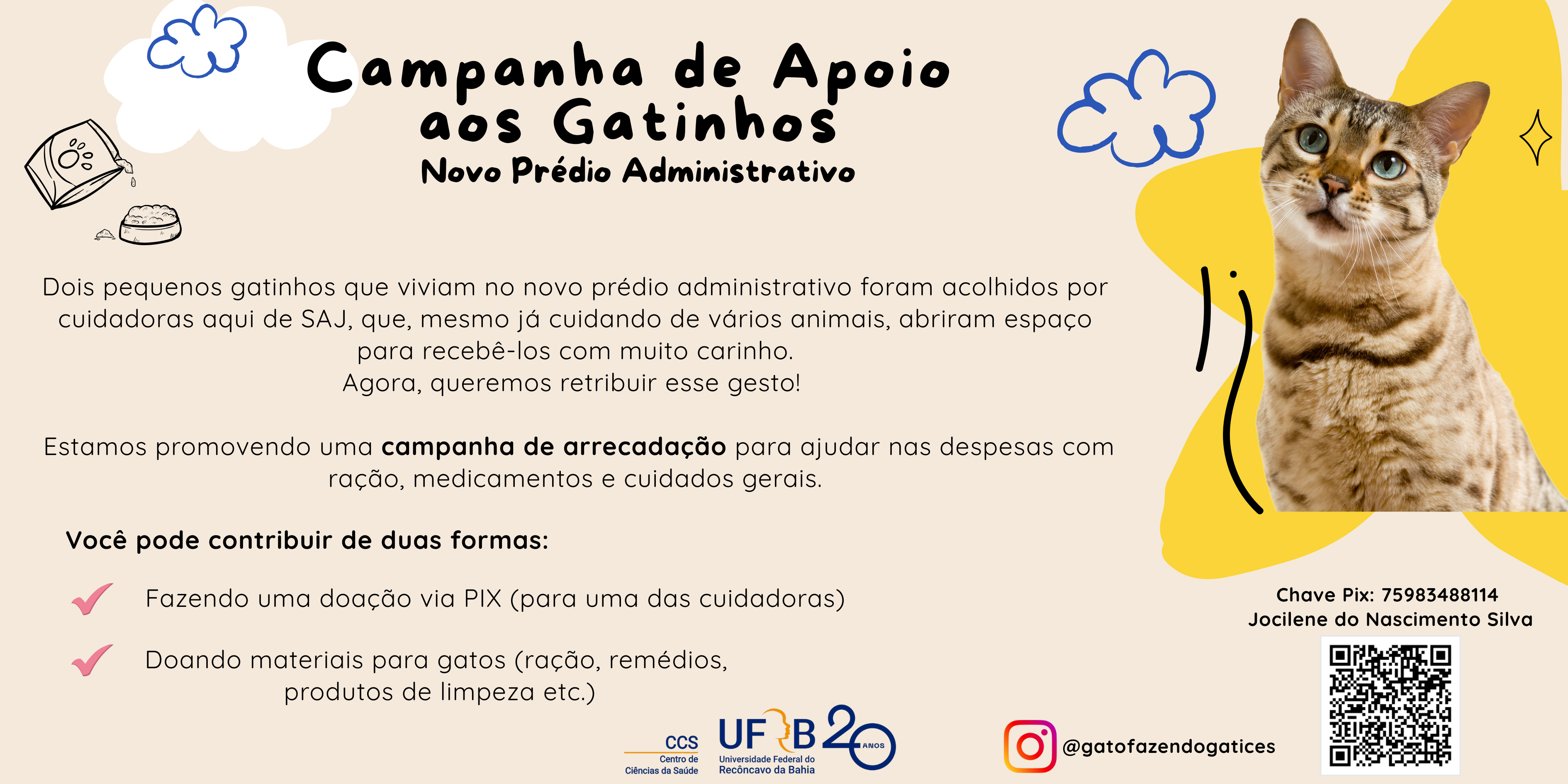 Campanha de Apoio aos Gatinhos