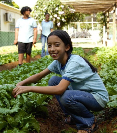 imagem sem descrição.
