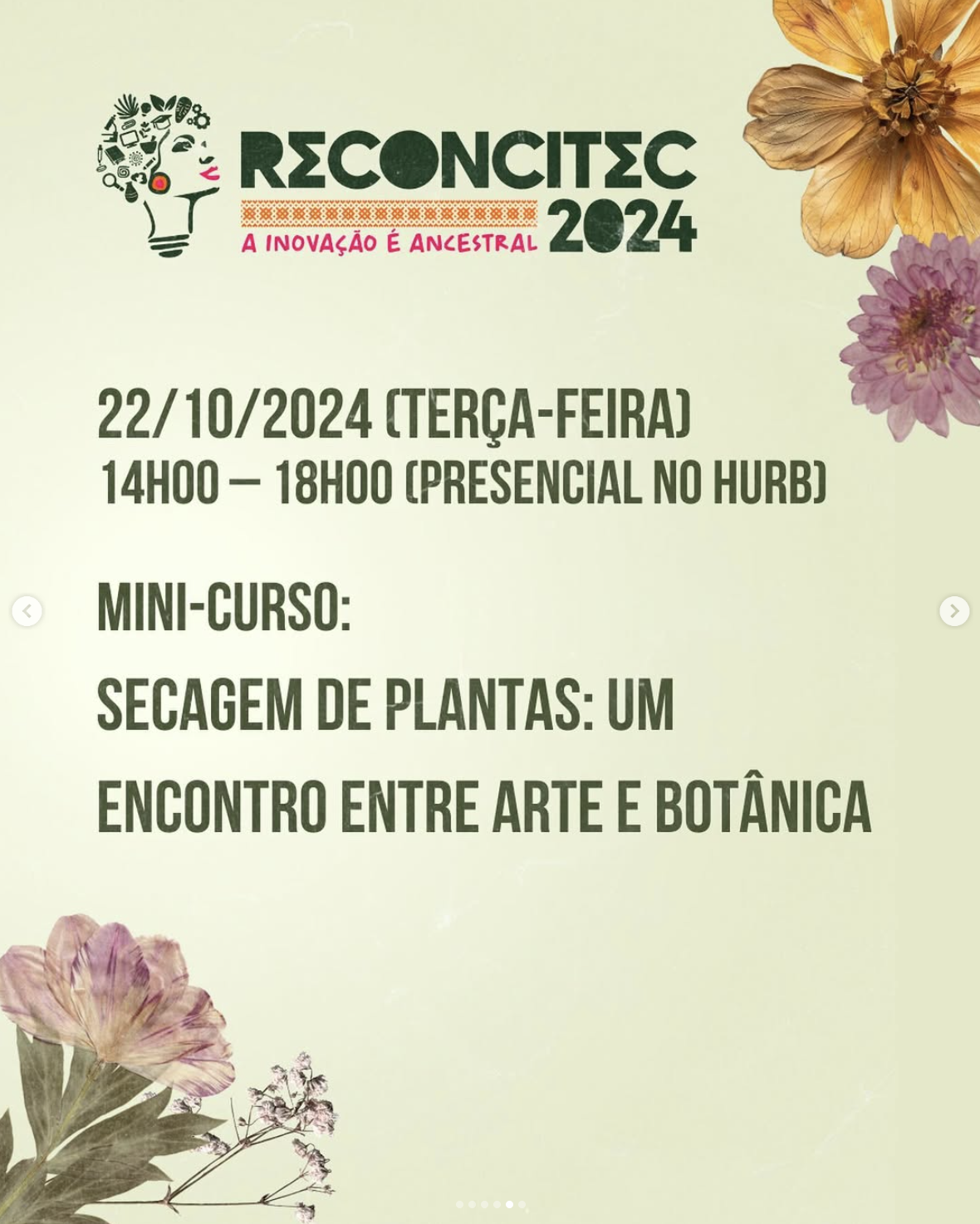 Captura_de_Tela_2025-05-16_às_11.06.05.png