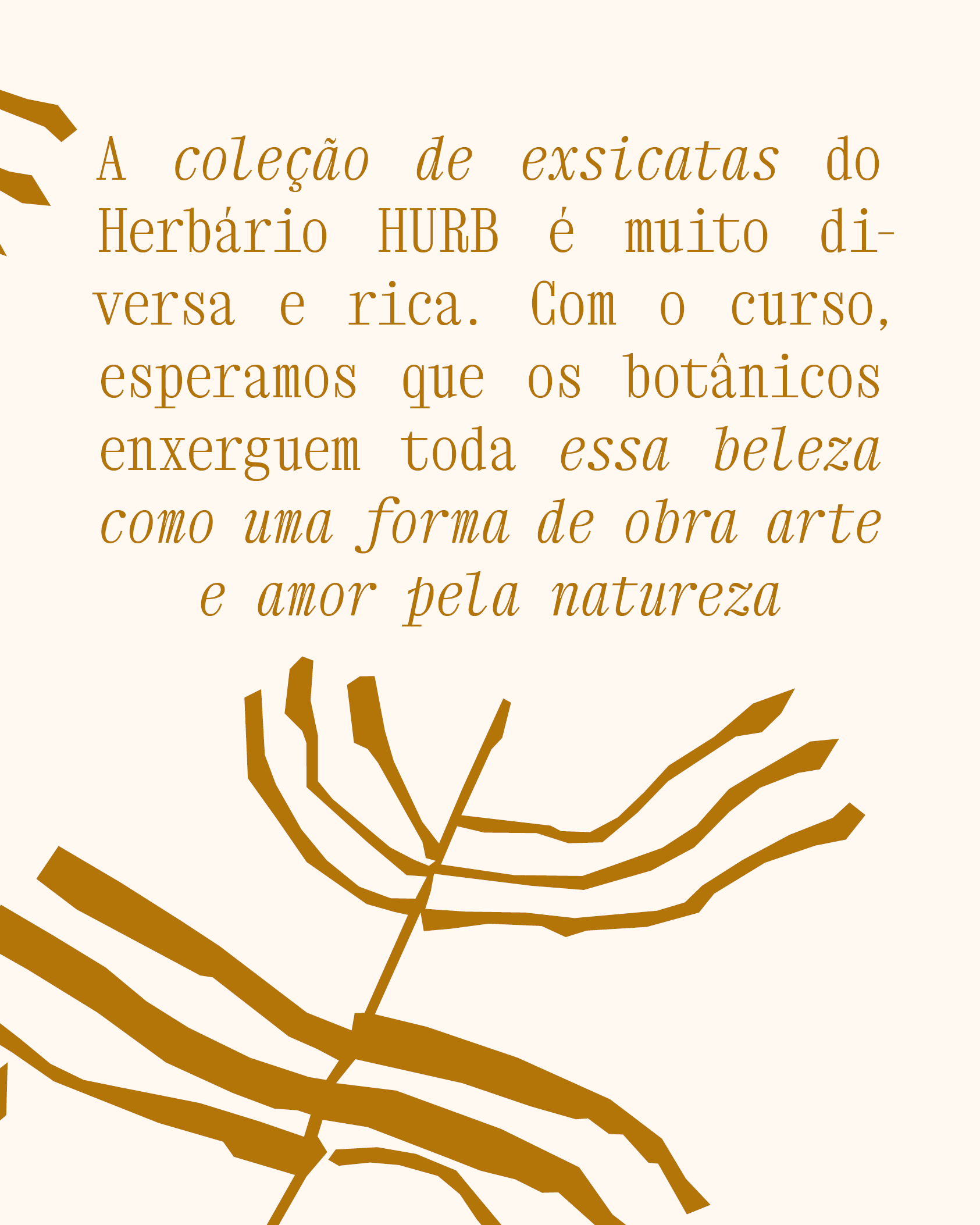 Carrossel_Aona4.png