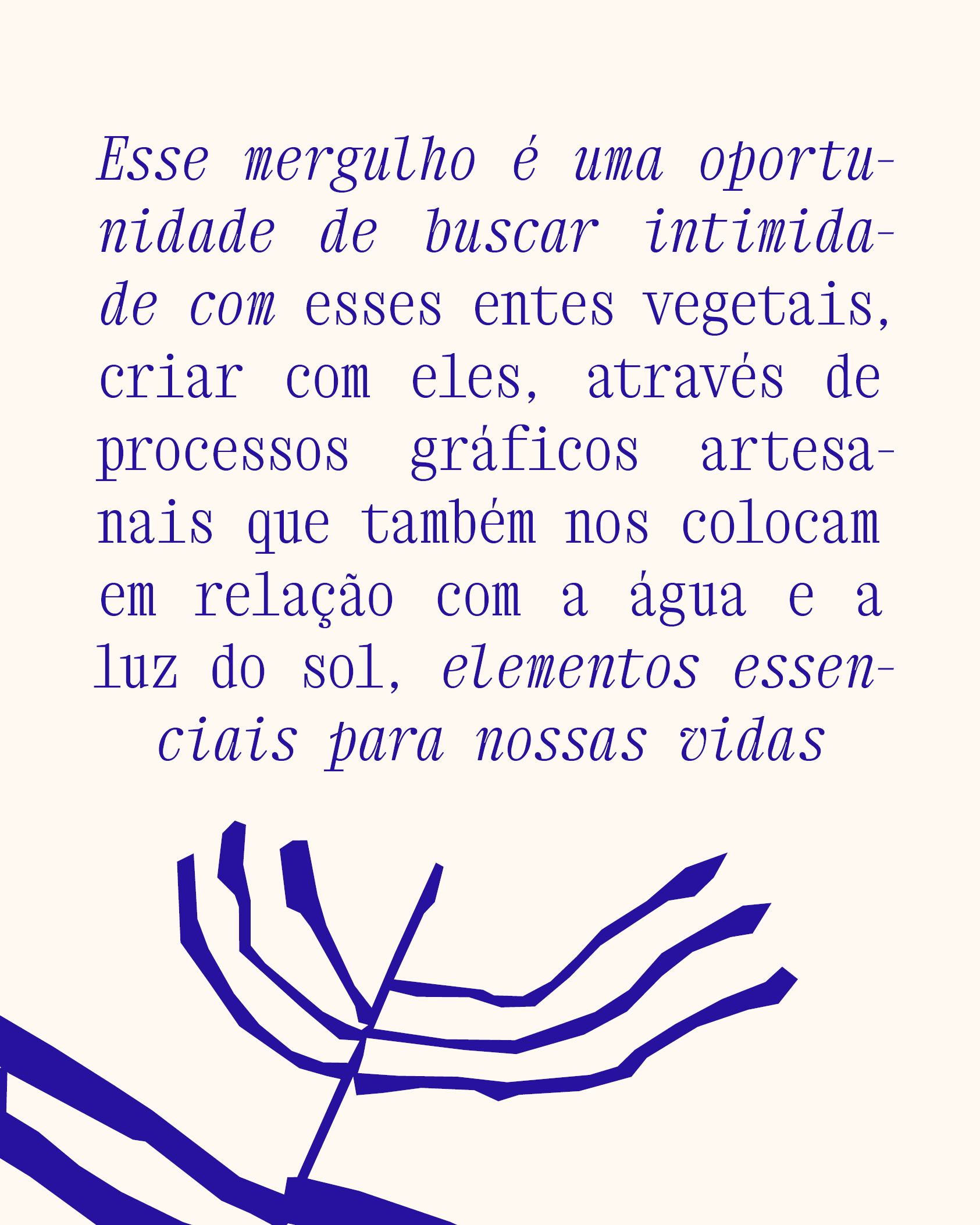 Carrossol_Lia4.png