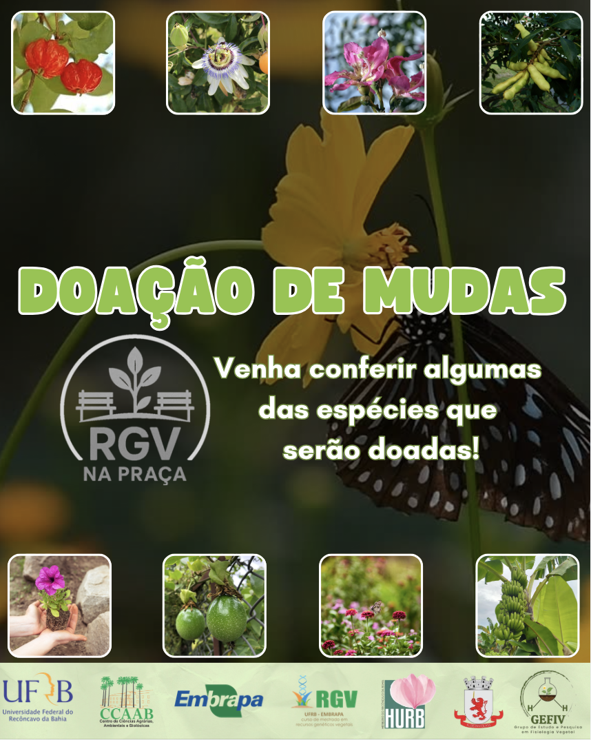 Captura_de_Tela_2026-05-29_às_07.47.23.png