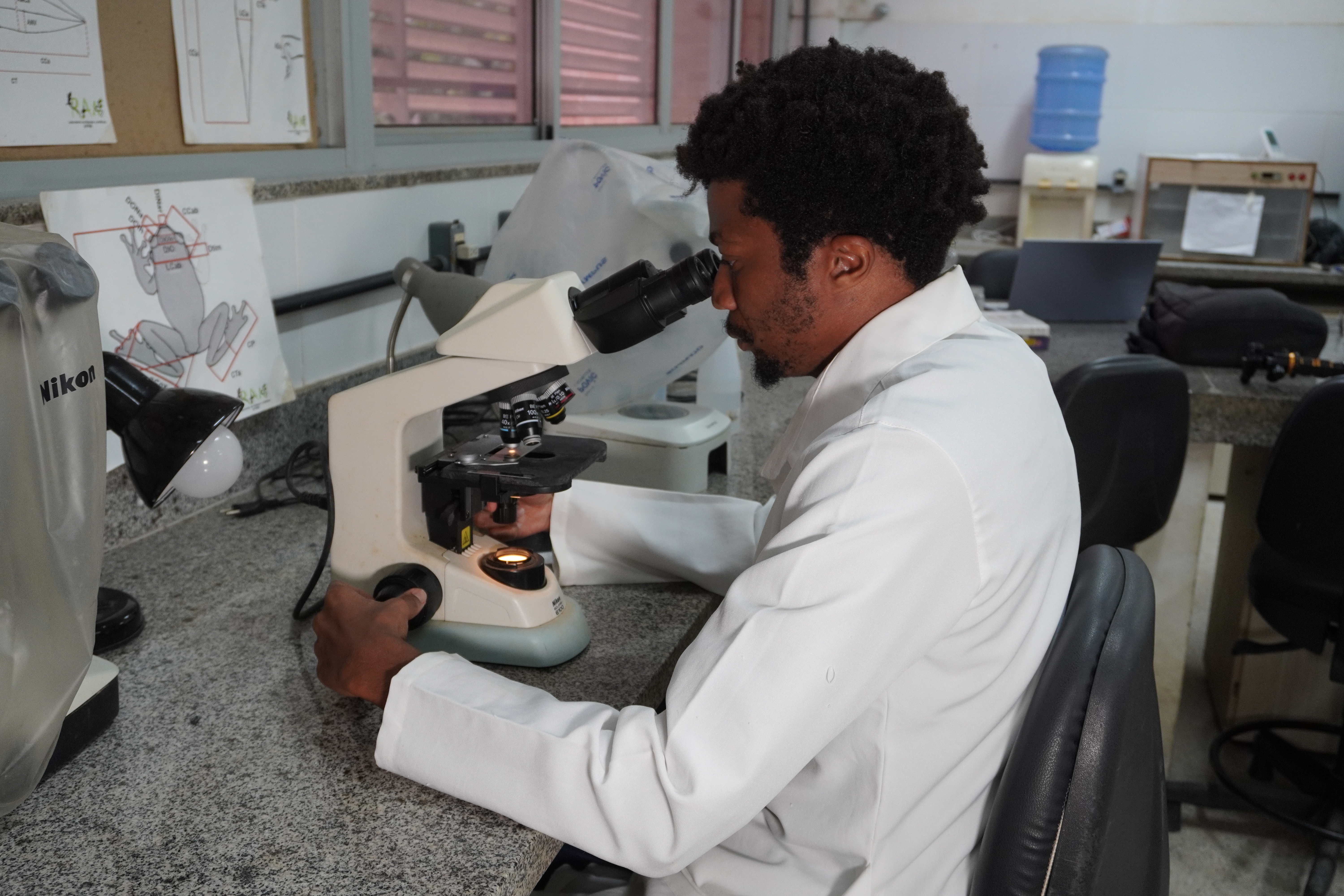 imagem sem descrição.