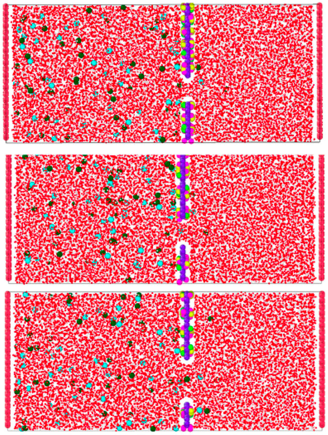 imagem sem descrição.
