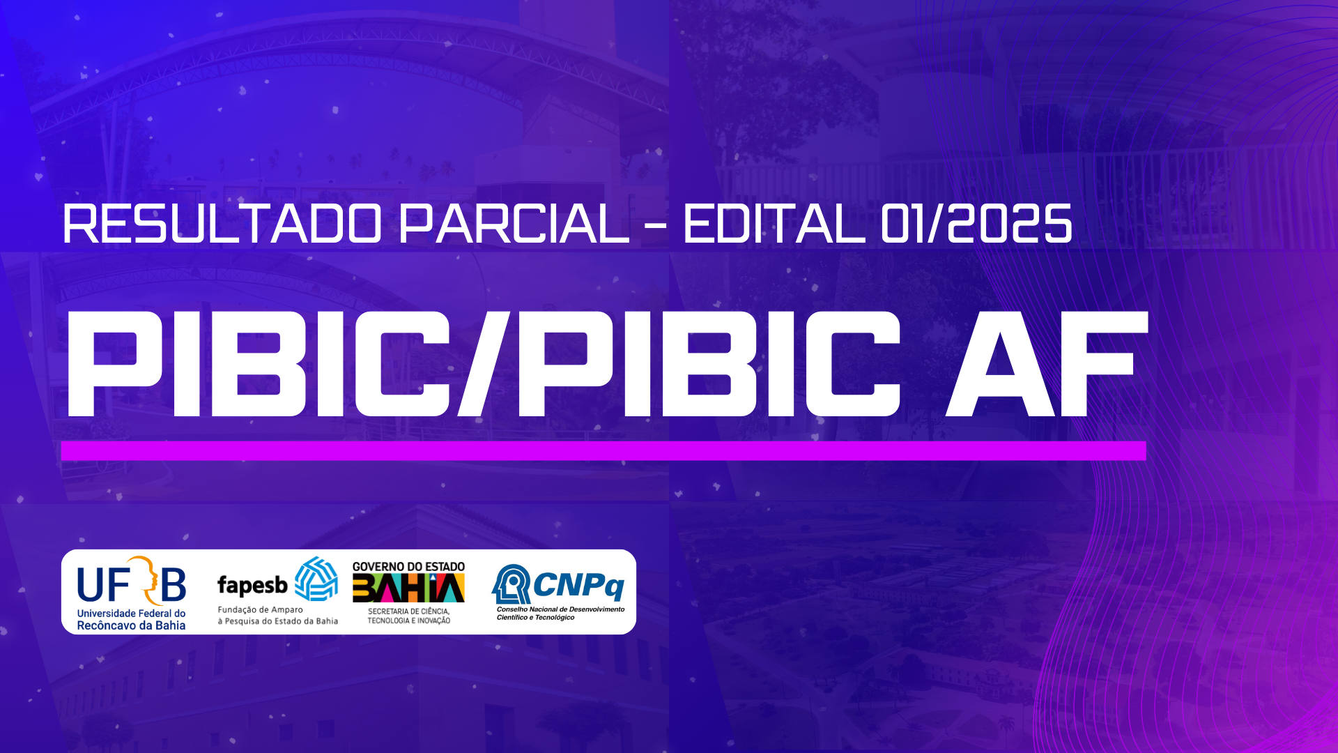 Resultado parcial PIBIC