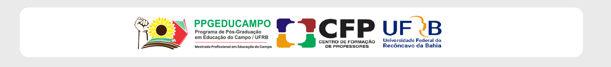 footer cnpm v2