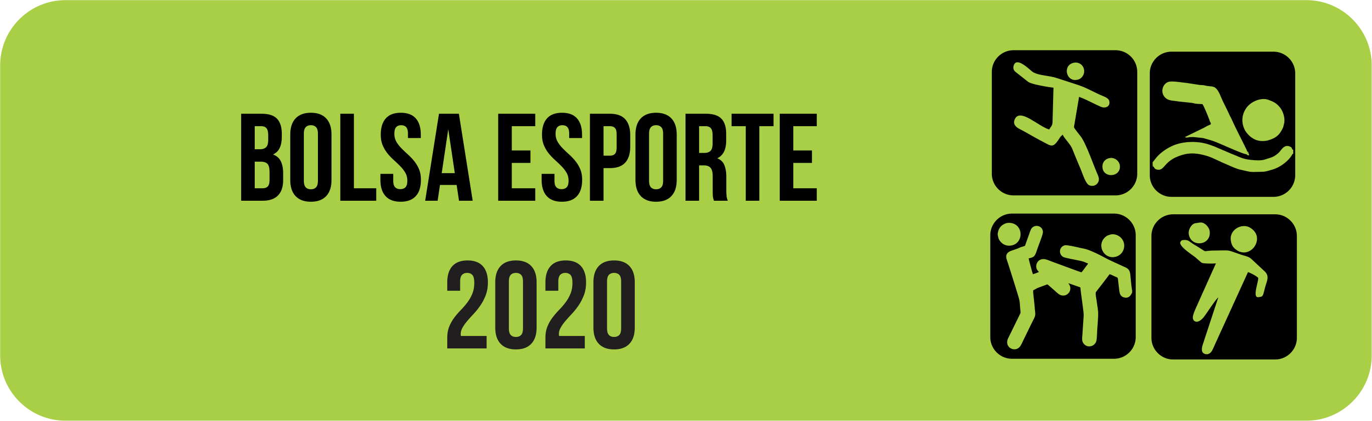 bolsa esporte